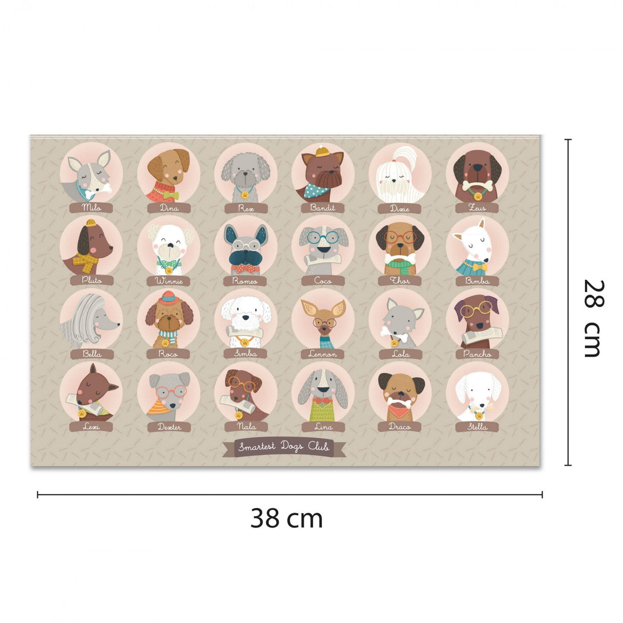 APLI | Gezelschapsspel | Wie is het? 5+ - Le CirQue Conceptstore