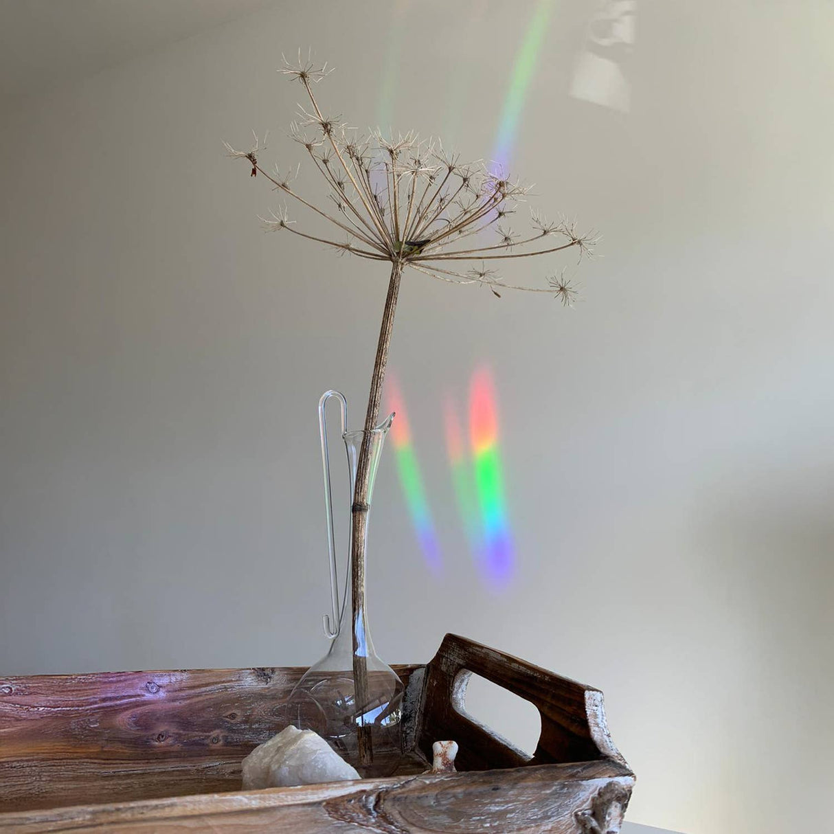 BOTANOPIA | Regenboogmaker | Take it easy and enjoy - Le CirQue Conceptstore