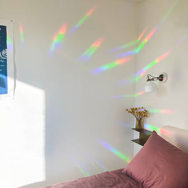 BOTANOPIA | Regenboogmaker | Take it easy and enjoy - Le CirQue Conceptstore