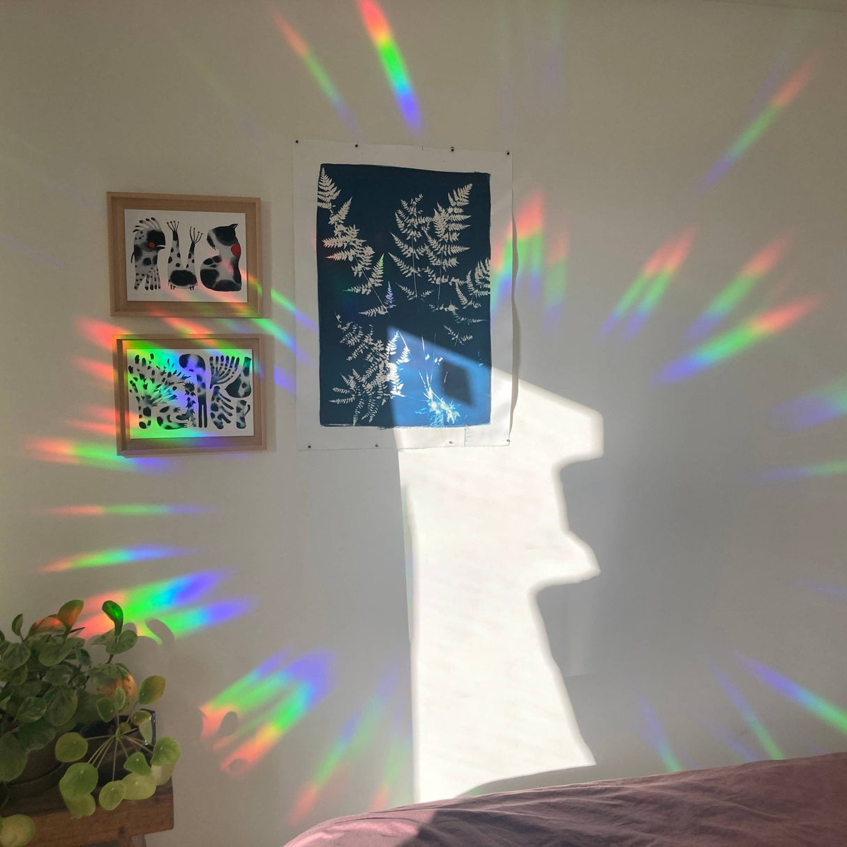 BOTANOPIA | Regenboogmaker | Take it easy and enjoy - Le CirQue Conceptstore