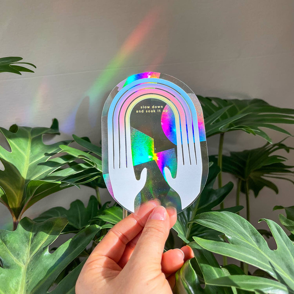 BOTANOPIA | Regenboogmaker | Take it easy and enjoy - Le CirQue Conceptstore
