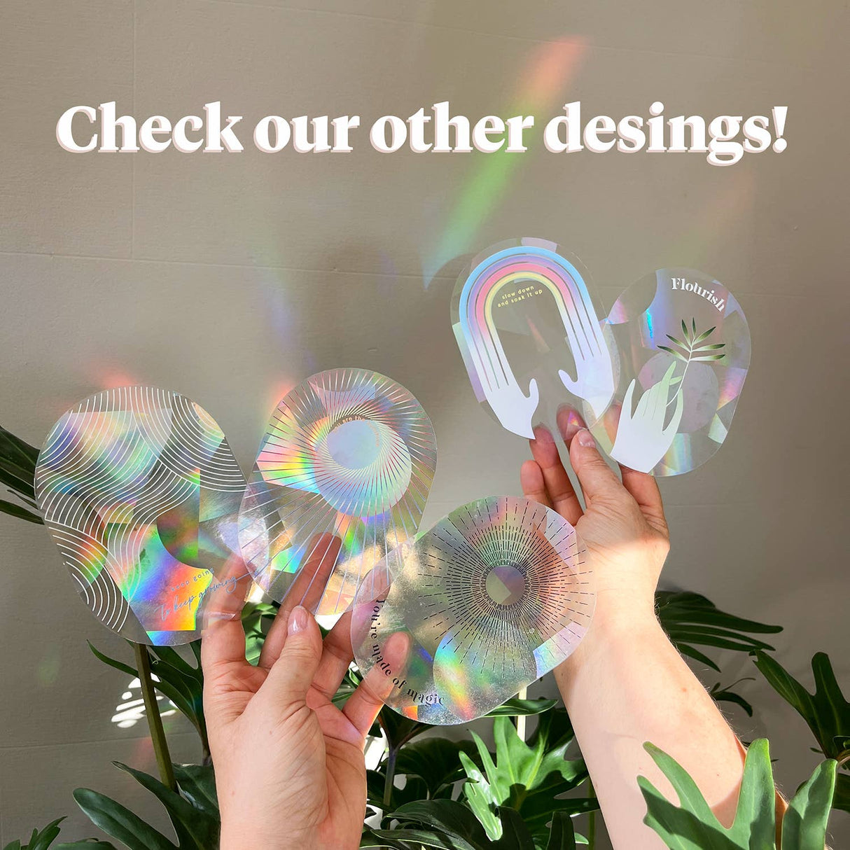 BOTANOPIA | Regenboogmaker | Take it easy and enjoy - Le CirQue Conceptstore