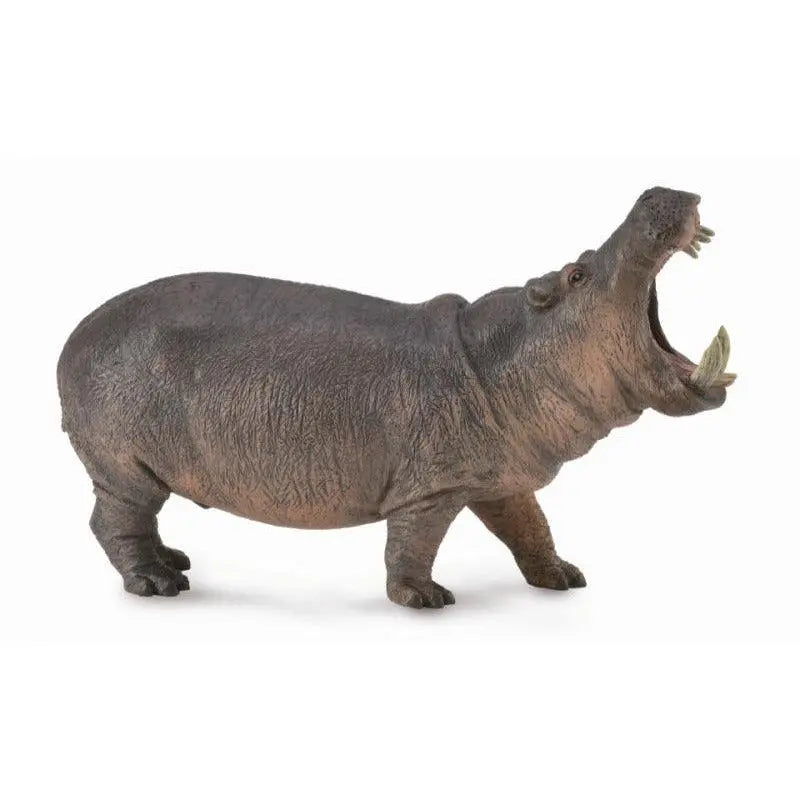 COLLECTA - Dieren - Nijlpaard - Le CirQue Kidsconceptstore 