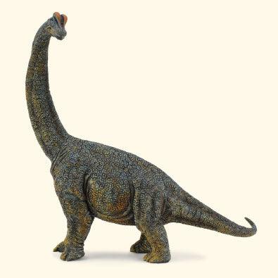 COLLECTA - Dinosaurus - Brachiosaurus - Le CirQue Kidsconceptstore 