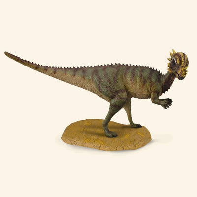COLLECTA - Dinosaurus - Pachycephalosaurus - Le CirQue Kidsconceptstore 