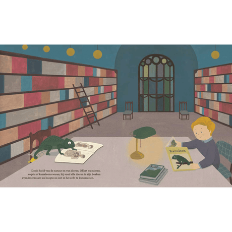 DE 4 WINDSTREKEN | Van Klein tot Groots | David Attenborough 6+ - Le CirQue Conceptstore