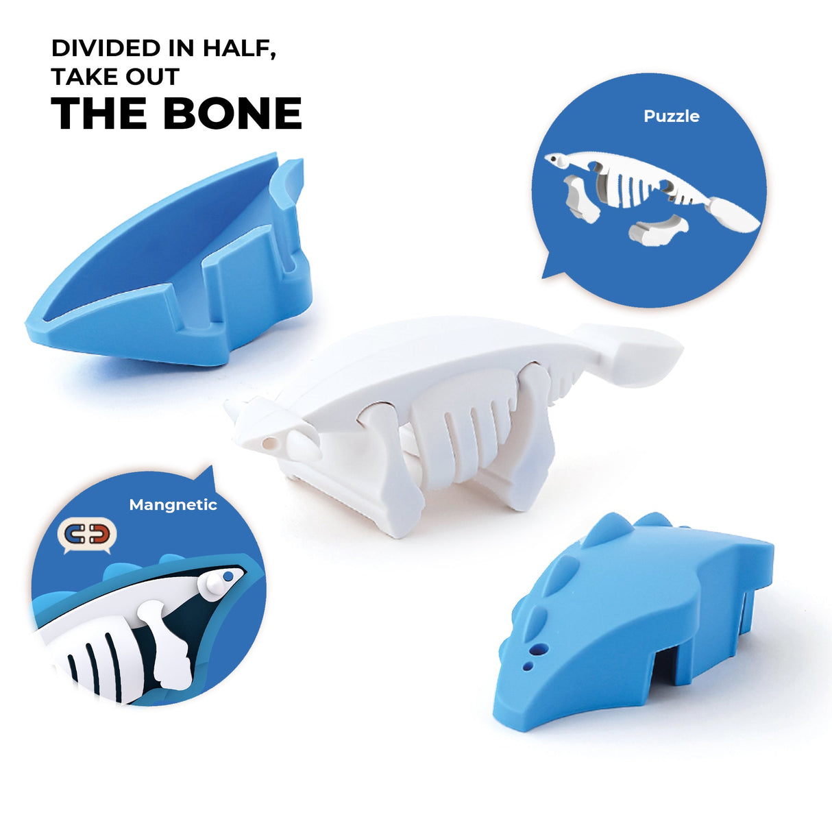 HALFTOYS - 3D Magnetic Toy "Ankylo" 3+ - Le CirQue Conceptstore
