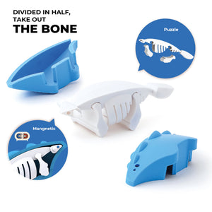 HALFTOYS - 3D Magnetic Toy "Ankylo" 3+ - Le CirQue Conceptstore