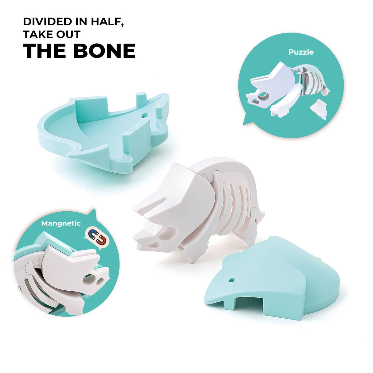HALFTOYS - 3D Magnetic Toy "Tricera" 3+ - Le CirQue Conceptstore