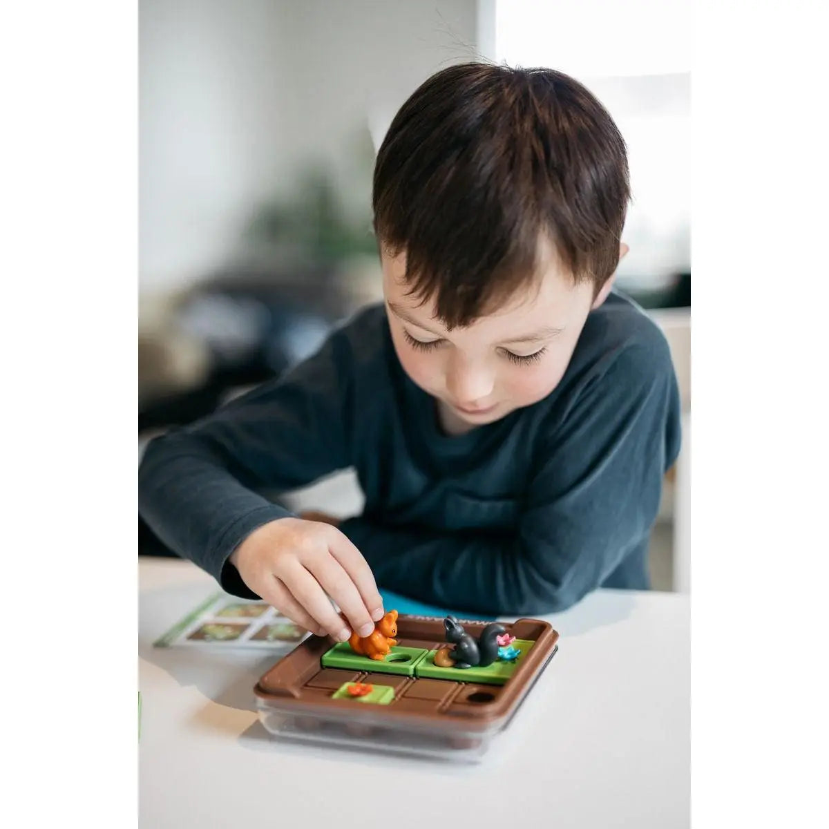 SMART GAMES | Educatief Solo Spel | Squirrels Go Nuts! 6+ - Le CirQue Conceptstore