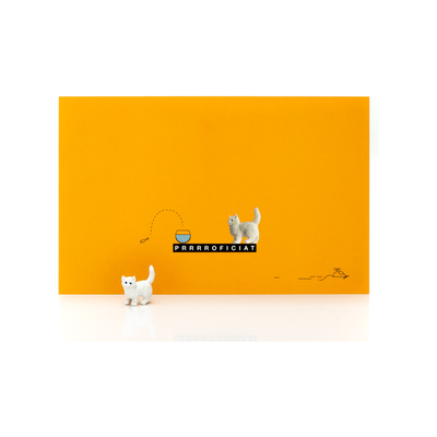 LUCKIES - Postkaart & Geluksbrenger "Prrrroficiat" - Le CirQue Kidsconceptstore 